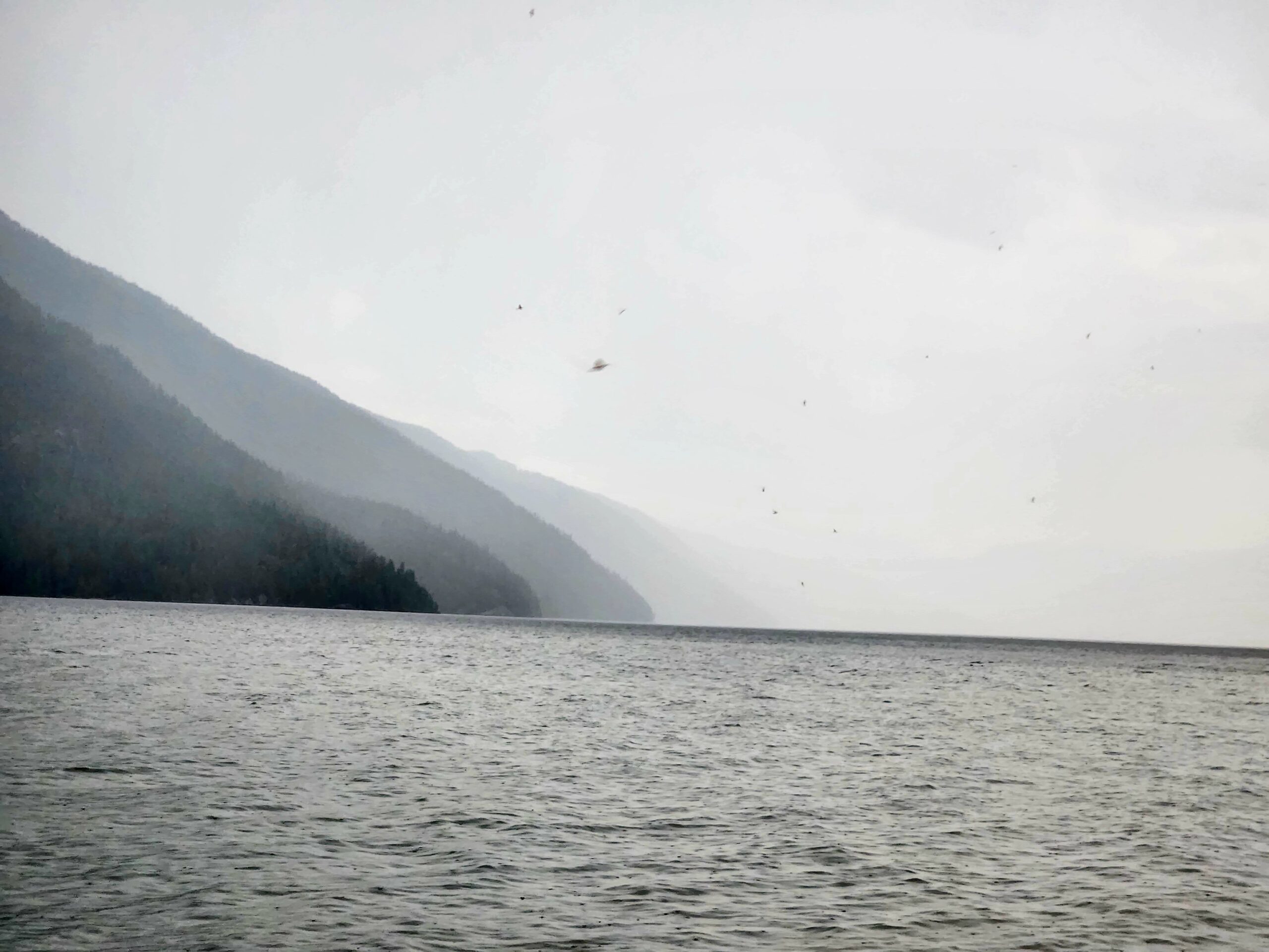 Danielle Douglas, RSW, BSW, PATGC