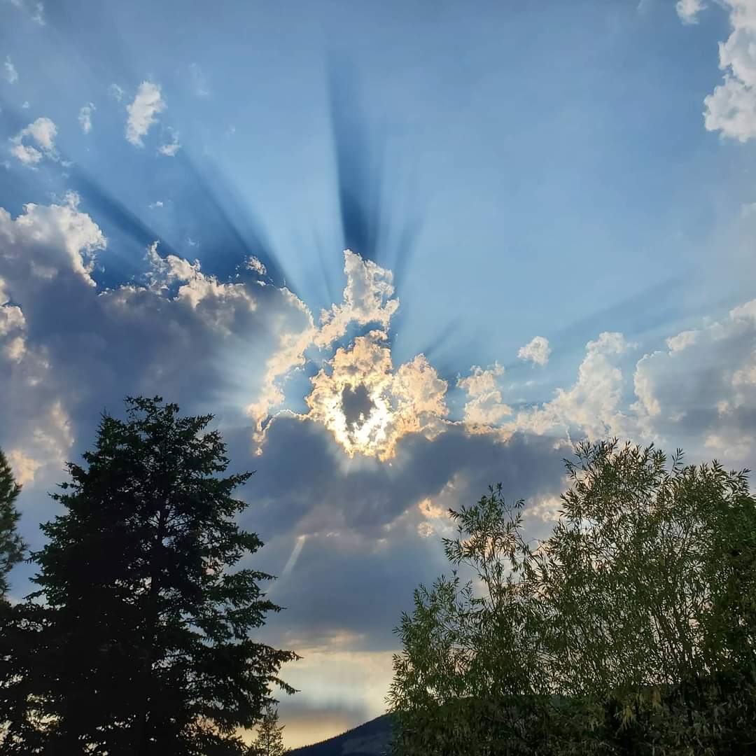 Dr. Allison Rees of LIFE Seminars